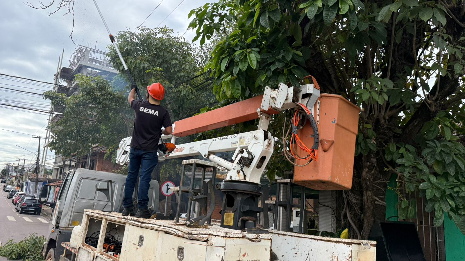 Sema realizou a limpeza, poda e conservação das áreas